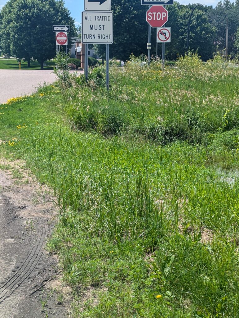 A grassy roadside area with multiple traffic signs. One sign reads "All Traffic Must Turn Right." A stop sign and a "No Left Turn" sign are visible in the background. The area is surrounded by trees and bushes, and tire tracks are visible on the dirt path.