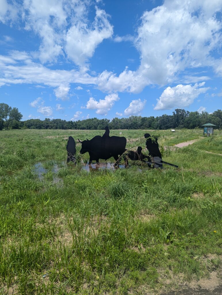 A grassy field with a clear blue sky and scattered clouds. In the middle of the field, there are black metal silhouette cutouts of various animals standing near a small shallow pond. A dirt path is visible to the right, leading to a wooded area in the background.