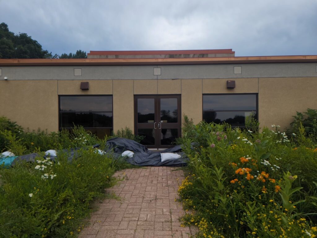 A beige building with black-tinted windows surrounded by lush overgrown vegetation and wildflowers. A brick path leads to its entrance, which has double glass doors. Black tarps and various items are scattered near the building against a cloudy sky backdrop.