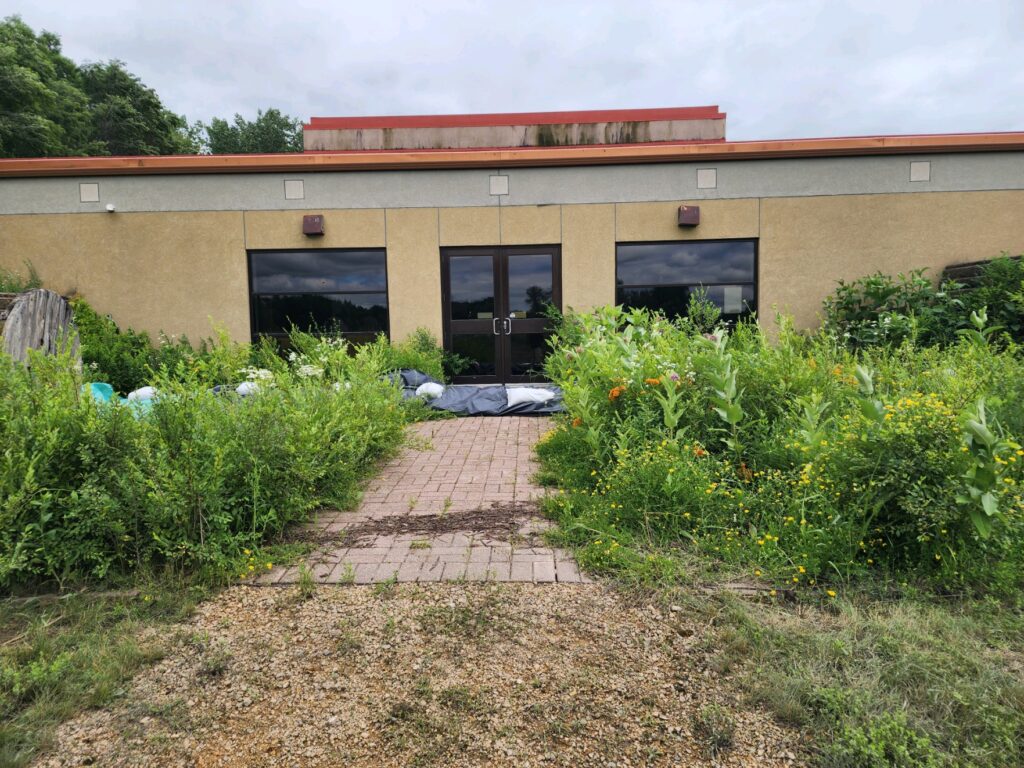 A deteriorating building with overgrown vegetation leading up to its entrance. The path is partially obstructed by weeds and what appears to be discarded materials and blankets on the ground in front of the glass double doors. The overall scene looks neglected.